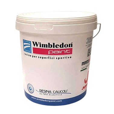 IMMAGINE WIMBLEDON PAINT